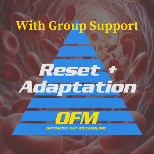 Reset+Adaptation+Group